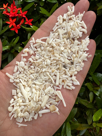 White Bamboo Coral Chips Semi Tumbled Gemstone, 2 - 9 mm, Wholesale Bulk Lot