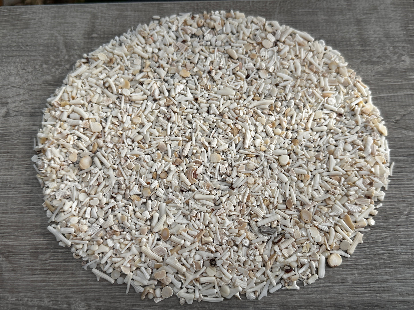 White Bamboo Coral Chips Semi Tumbled Gemstone, 2 - 9 mm, Wholesale Bulk Lot