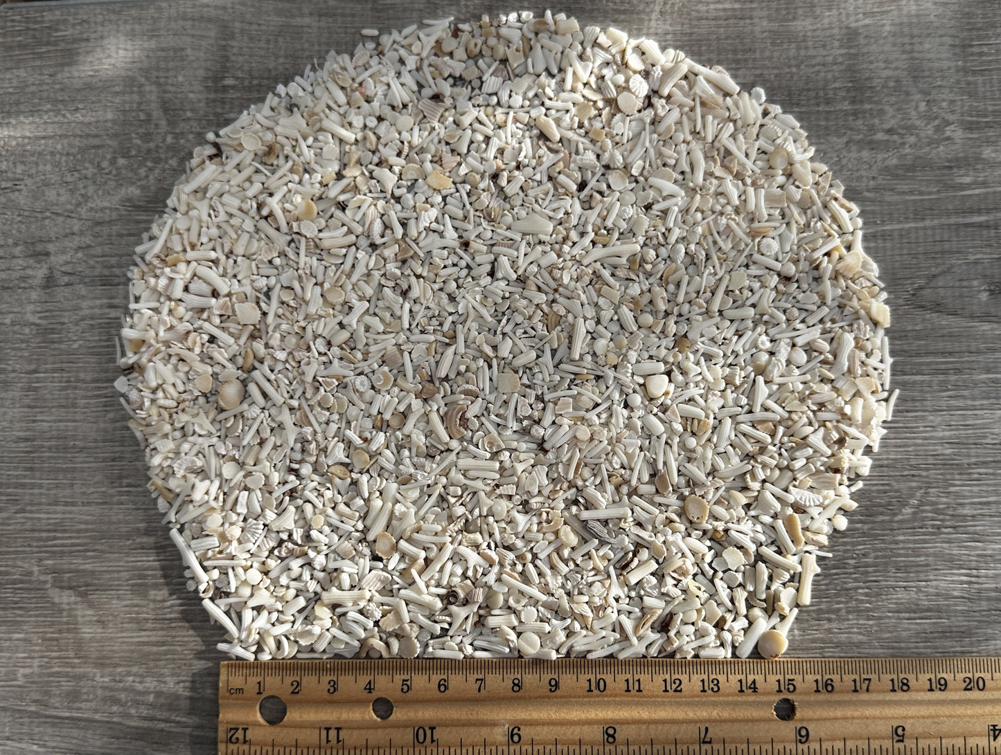 White Bamboo Coral Chips Semi Tumbled Gemstone, 2 - 9 mm, Wholesale Bulk Lot