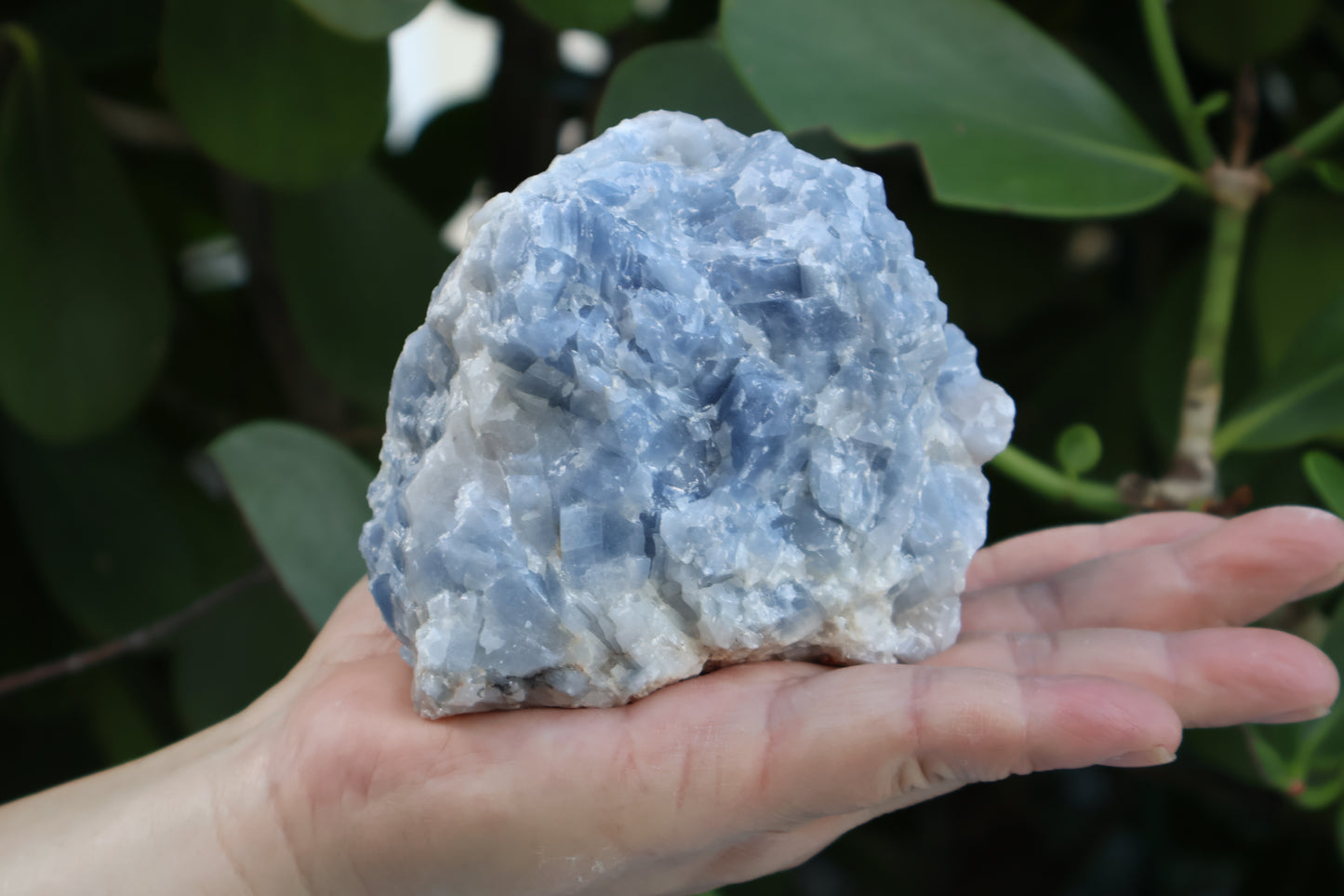 Jumbo Blue Calcite Rough Stones, 2.5" - 7" Massive Raw Calcite Blue Natural