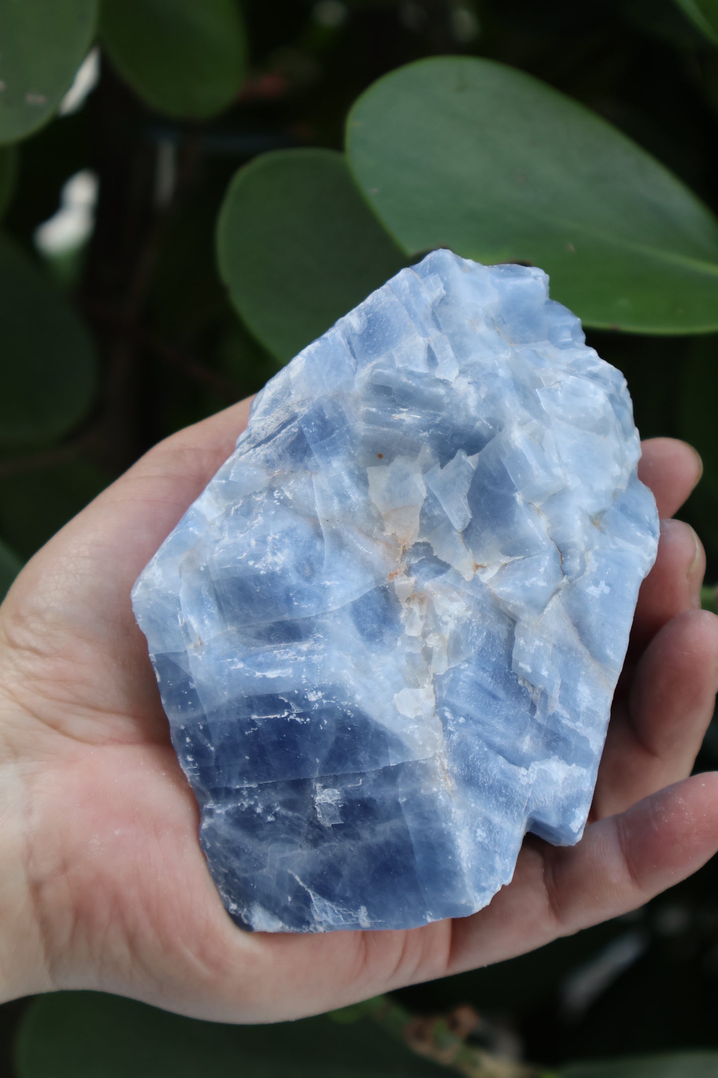 Jumbo Blue Calcite Rough Stones, 2.5" - 7" Massive Raw Calcite Blue Natural