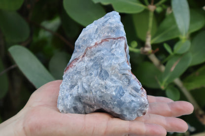 Jumbo Blue Calcite Rough Stones, 2.5" - 7" Massive Raw Calcite Blue Natural