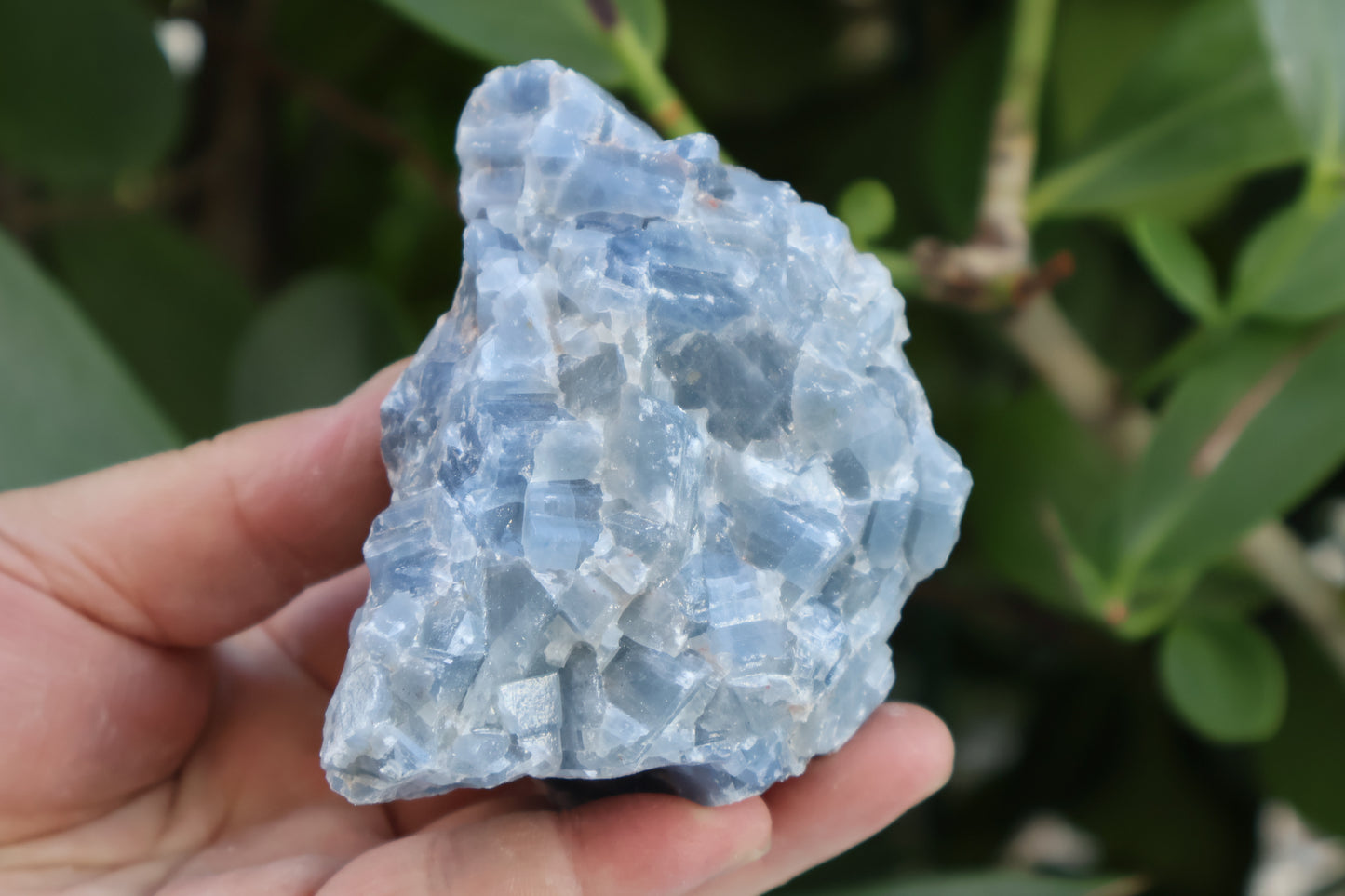 Jumbo Blue Calcite Rough Stones, 2.5" - 7" Massive Raw Calcite Blue Natural