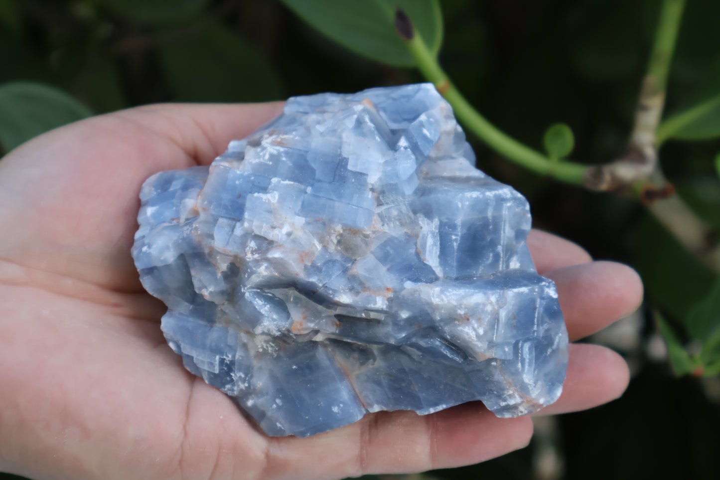 Jumbo Blue Calcite Rough Stones, 2.5" - 7" Massive Raw Calcite Blue Natural