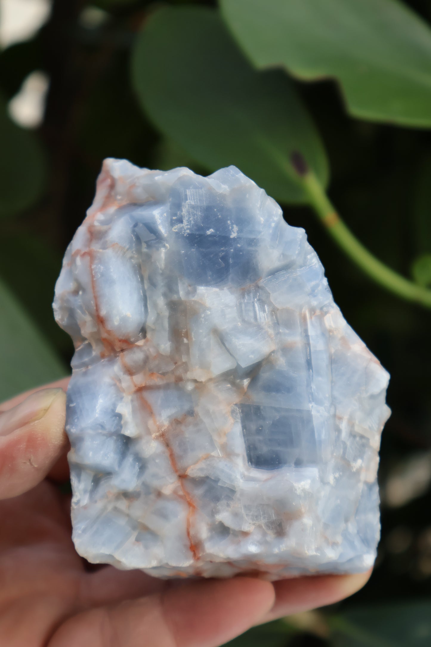 Jumbo Blue Calcite Rough Stones, 2.5" - 7" Massive Raw Calcite Blue Natural