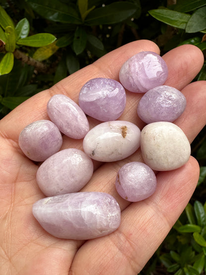 Grade A++ Kunzite Tumbled Stone, 0.75-1 Inch Kunzite Crystal, Pick How Many