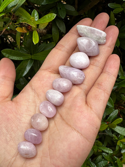 Grade A++ Kunzite Tumbled Stone, 0.75-1 Inch Kunzite Crystal, Pick How Many