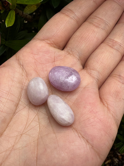 Grade A++ Kunzite Tumbled Stone, 0.75-1 Inch Kunzite Crystal, Pick How Many