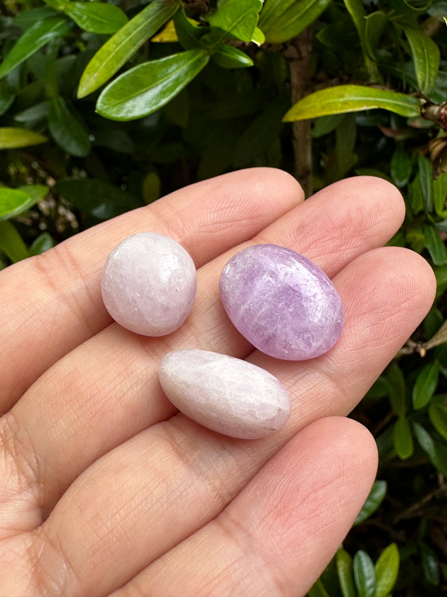 Grade A++ Kunzite Tumbled Stone, 0.75-1 Inch Kunzite Crystal, Pick How Many