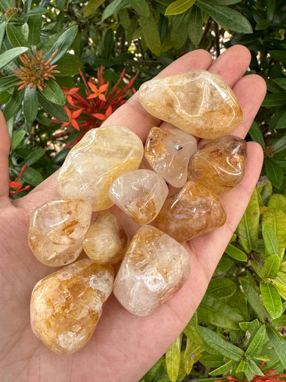 Grade A++Golden Healer Quartz Tumbled Stones 0.75-1.25", Pick How Many