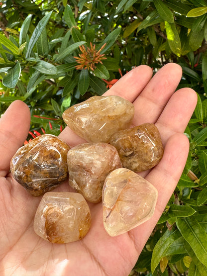 Grade A++Golden Healer Quartz Tumbled Stones 0.75-1.25", Pick How Many