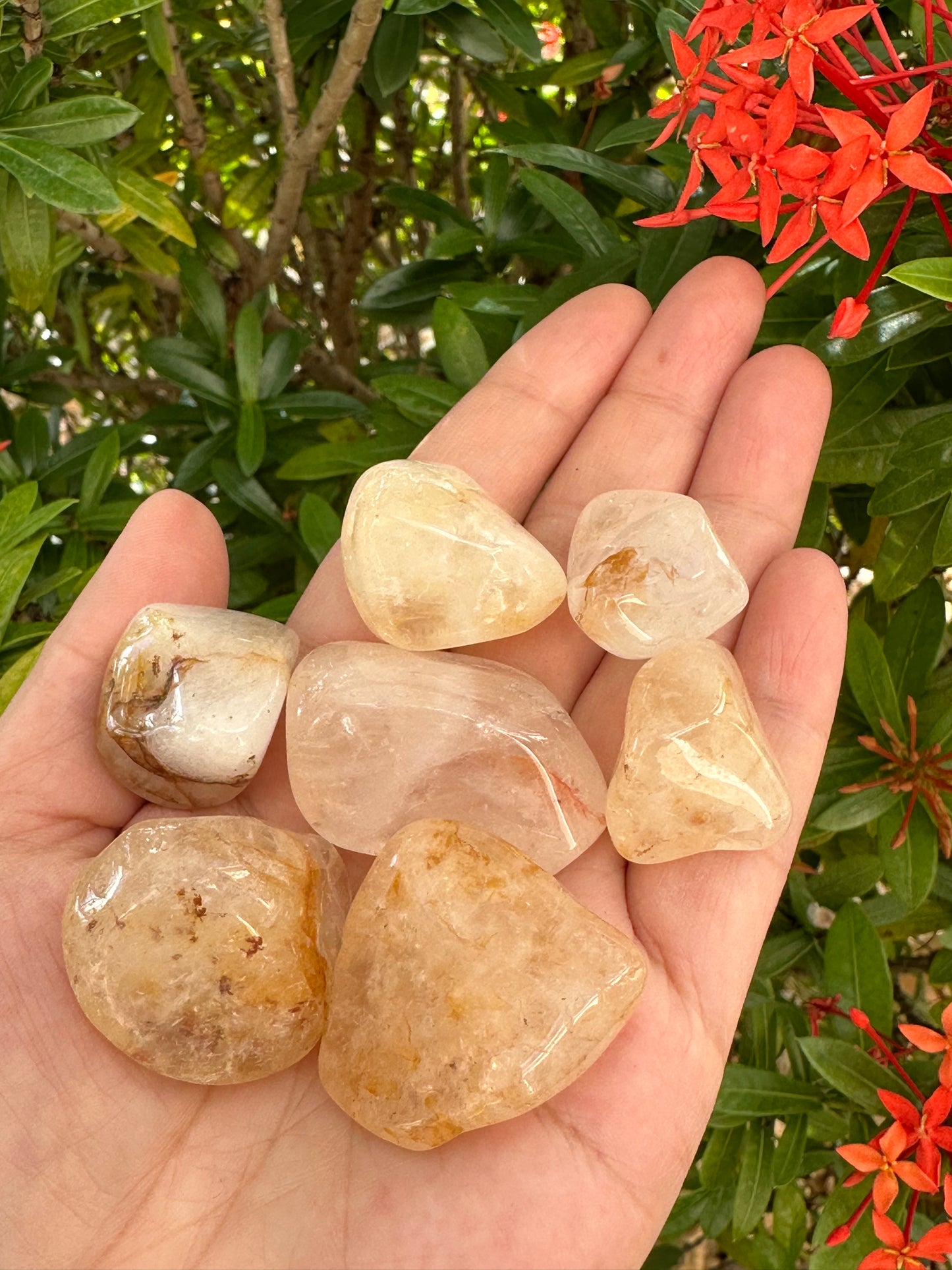 Grade A++Golden Healer Quartz Tumbled Stones 0.75-1.25", Pick How Many