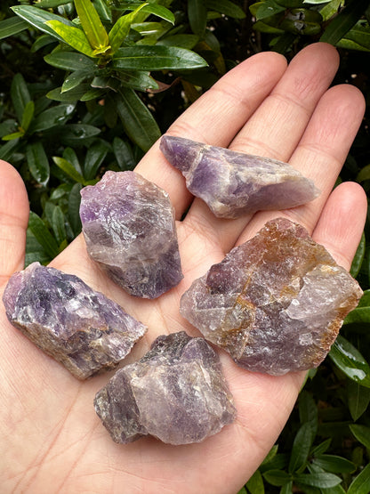 Amethyst Rough Natural Stones, 1-2" Raw Amethyst Stones, Wholesales Bulk Lot