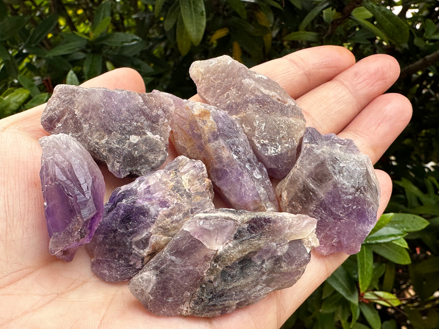 Amethyst Rough Natural Stones, 1-2" Raw Amethyst Stones, Wholesales Bulk Lot