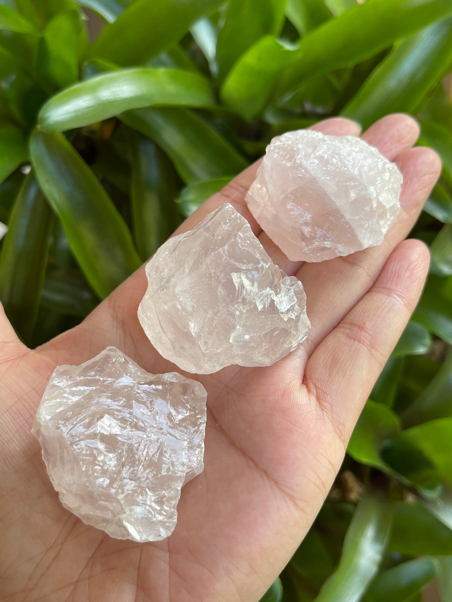 Natural Rough Rose Quartz Crystal Mineral, You Choose Amount -1/2 lb, 1 lb, 5 lb