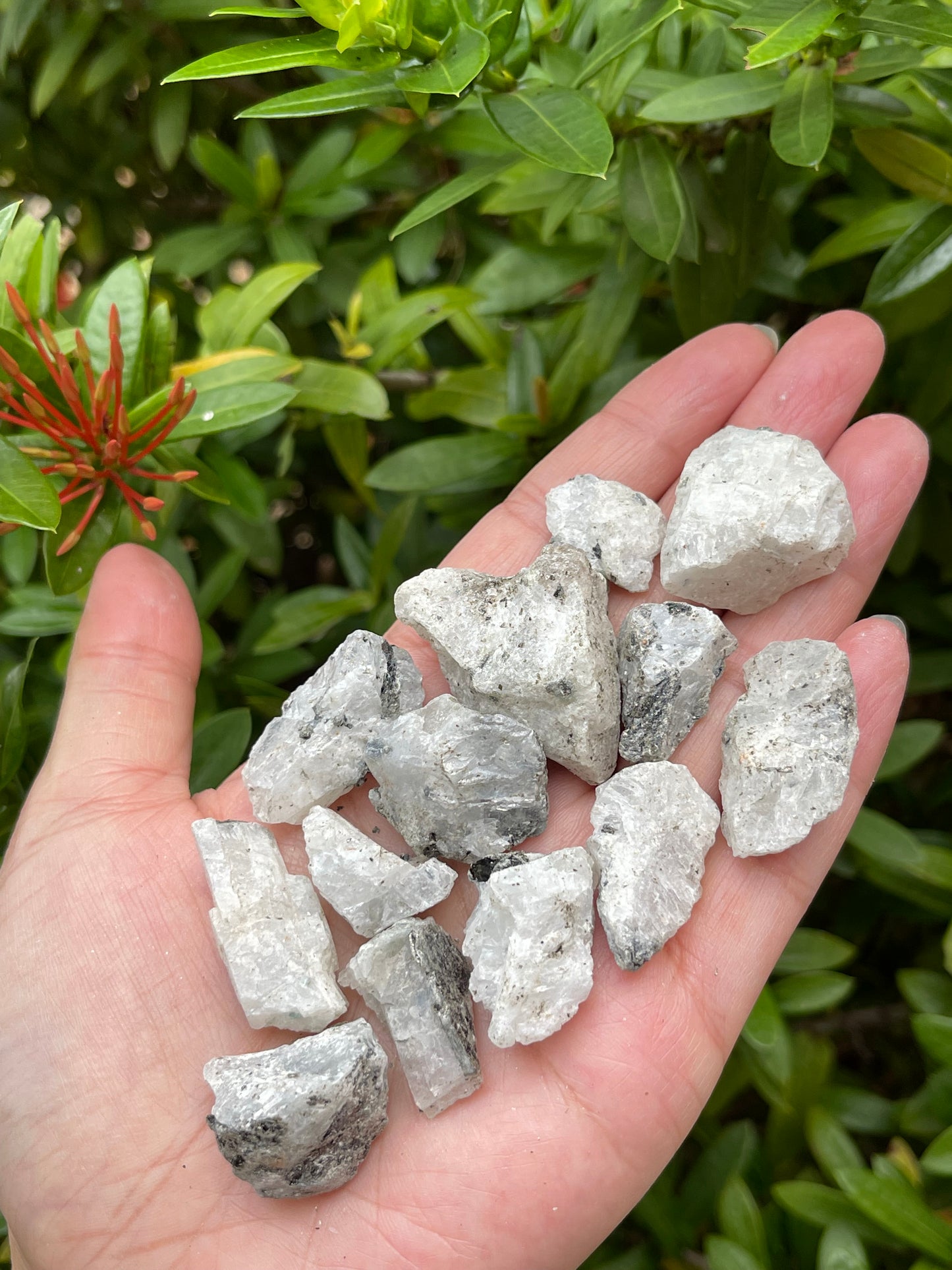 Grade A+ Small Rainbow Moonstone Natural Stone, 0.5"-1" Raw Rainbow Moonstone.