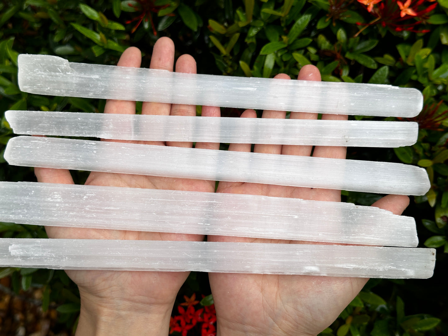 Long Selenite Sticks 10" – Natural White Selenite Crystal Wands, Selenite Blades for Energy Cleansing & Healing