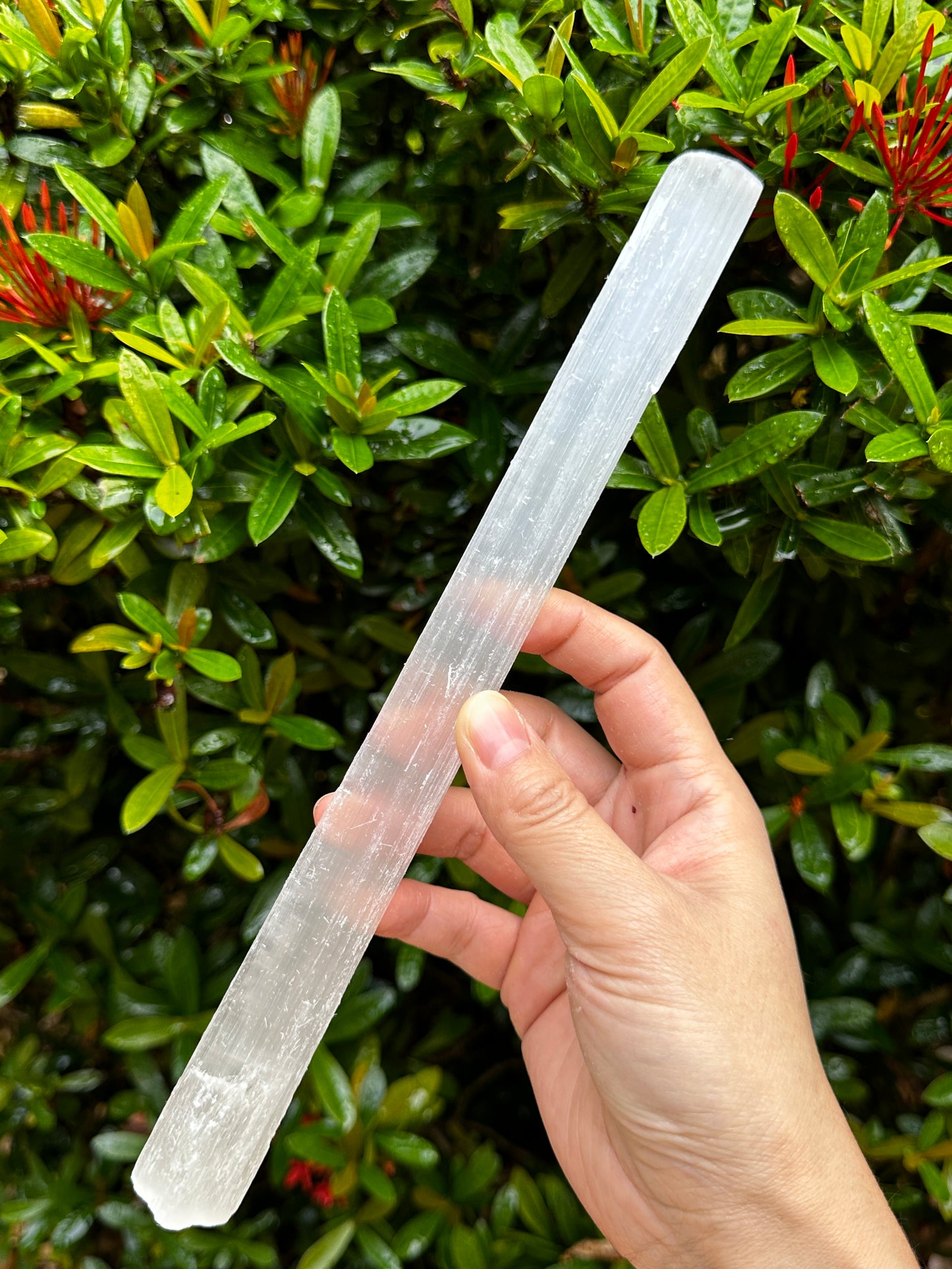 Long Selenite Sticks 10" – Natural White Selenite Crystal Wands, Selenite Blades for Energy Cleansing & Healing