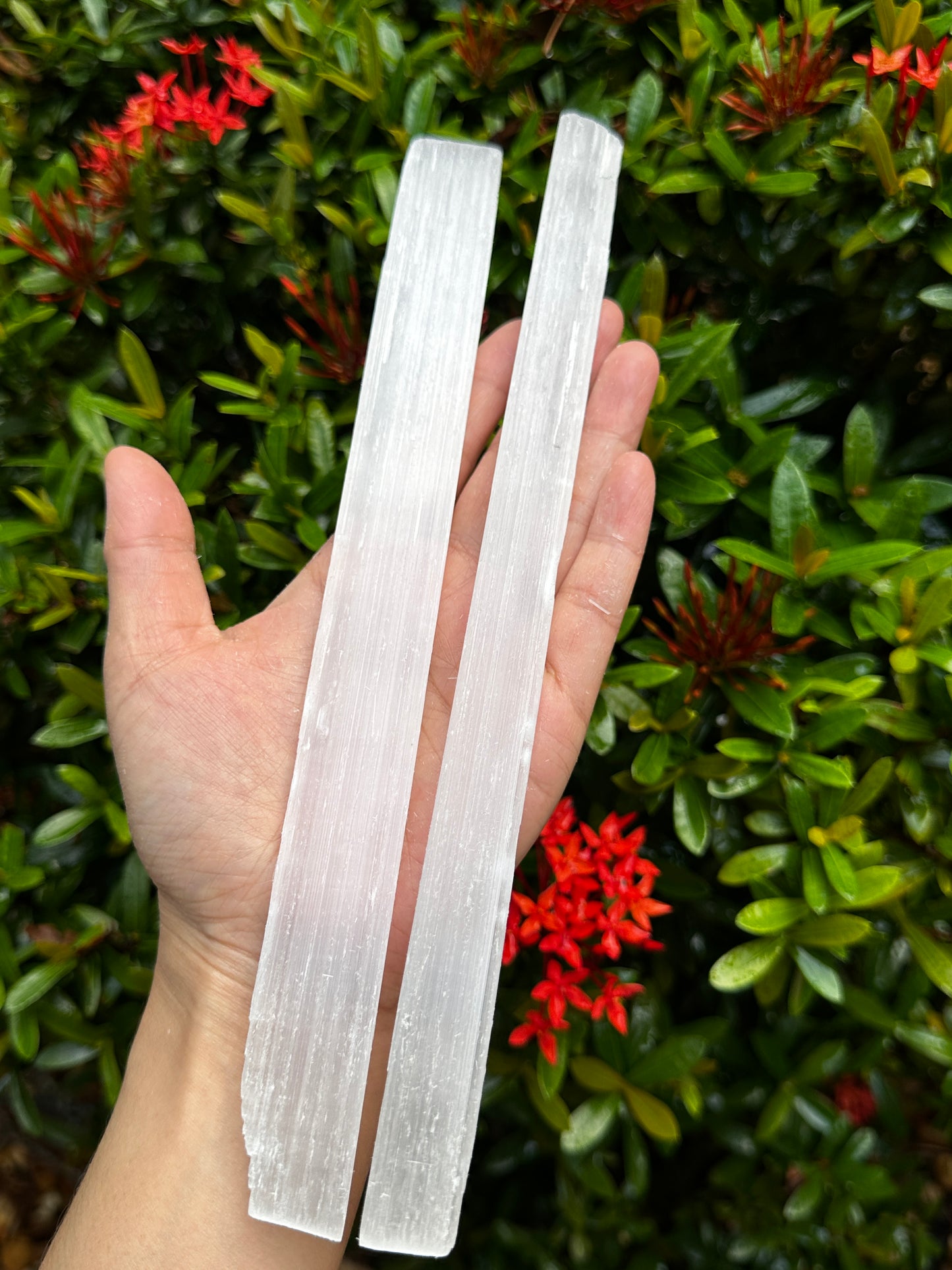 Long Selenite Sticks 10" – Natural White Selenite Crystal Wands, Selenite Blades for Energy Cleansing & Healing