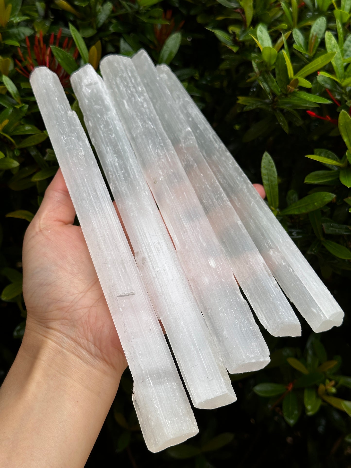 Long Selenite Sticks 10" – Natural White Selenite Crystal Wands, Selenite Blades for Energy Cleansing & Healing