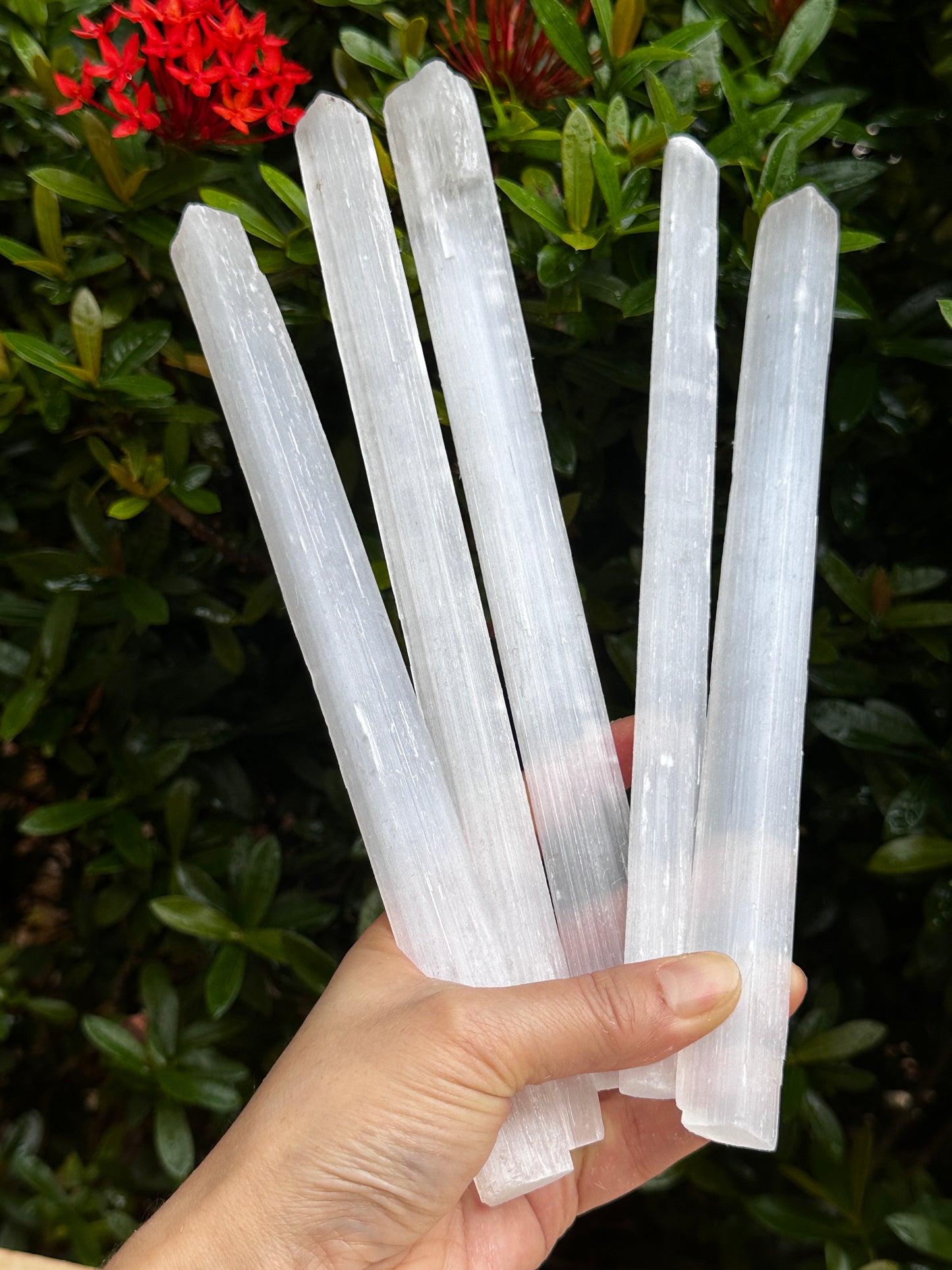 Long Selenite Sticks 10" – Natural White Selenite Crystal Wands, Selenite Blades for Energy Cleansing & Healing