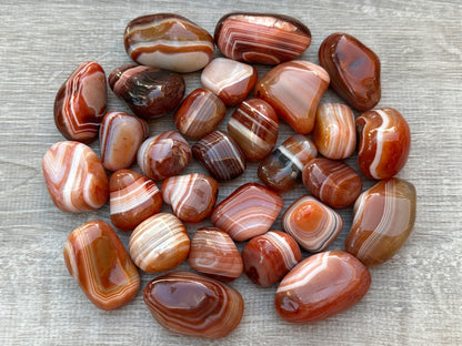 Wholesale Lot of Tumbled Stones | Natural Crystal Healing Stones | 4oz, 8oz, 1lb, 3lb Bulk Options