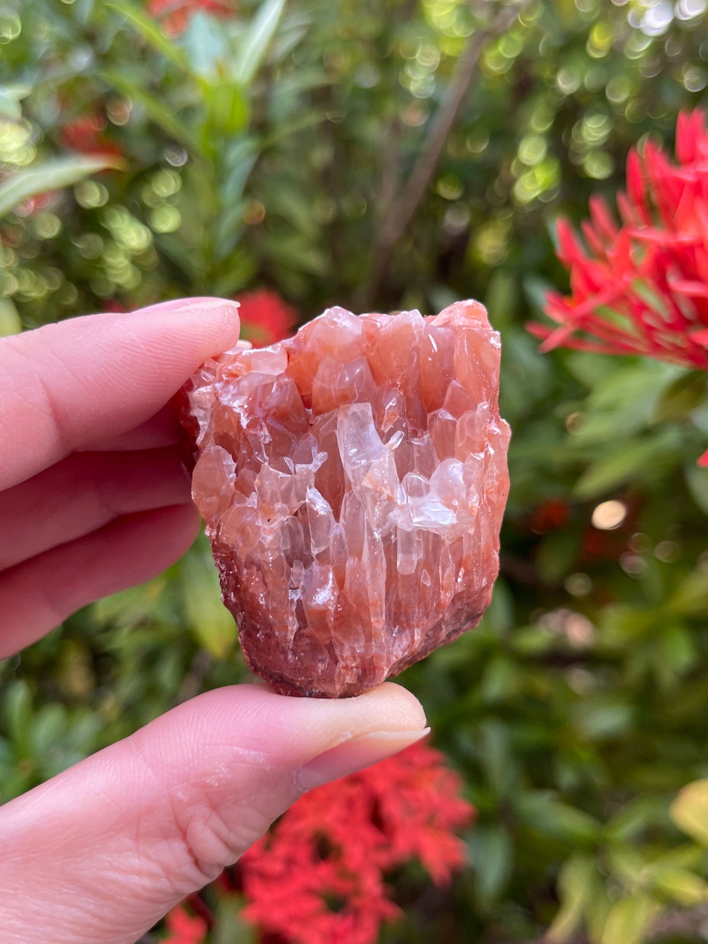 Grade A++Rough Red Calcite, 1.5-2" Red Calcite Natural Stone, Wholesale Bulk Lot