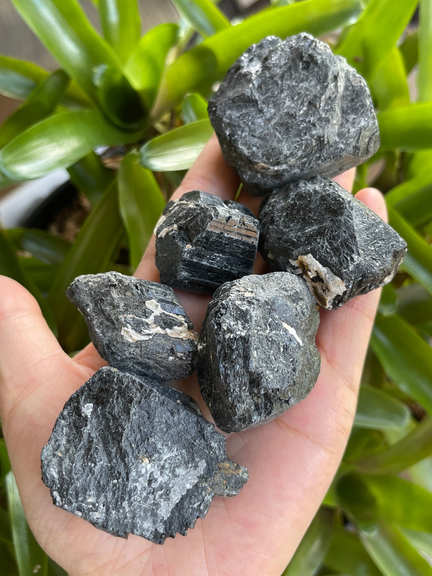 Black Tourmaline Natural Rough Stones, 1.5"-2" Raw Tourmaline Wholesale Bulk Lot