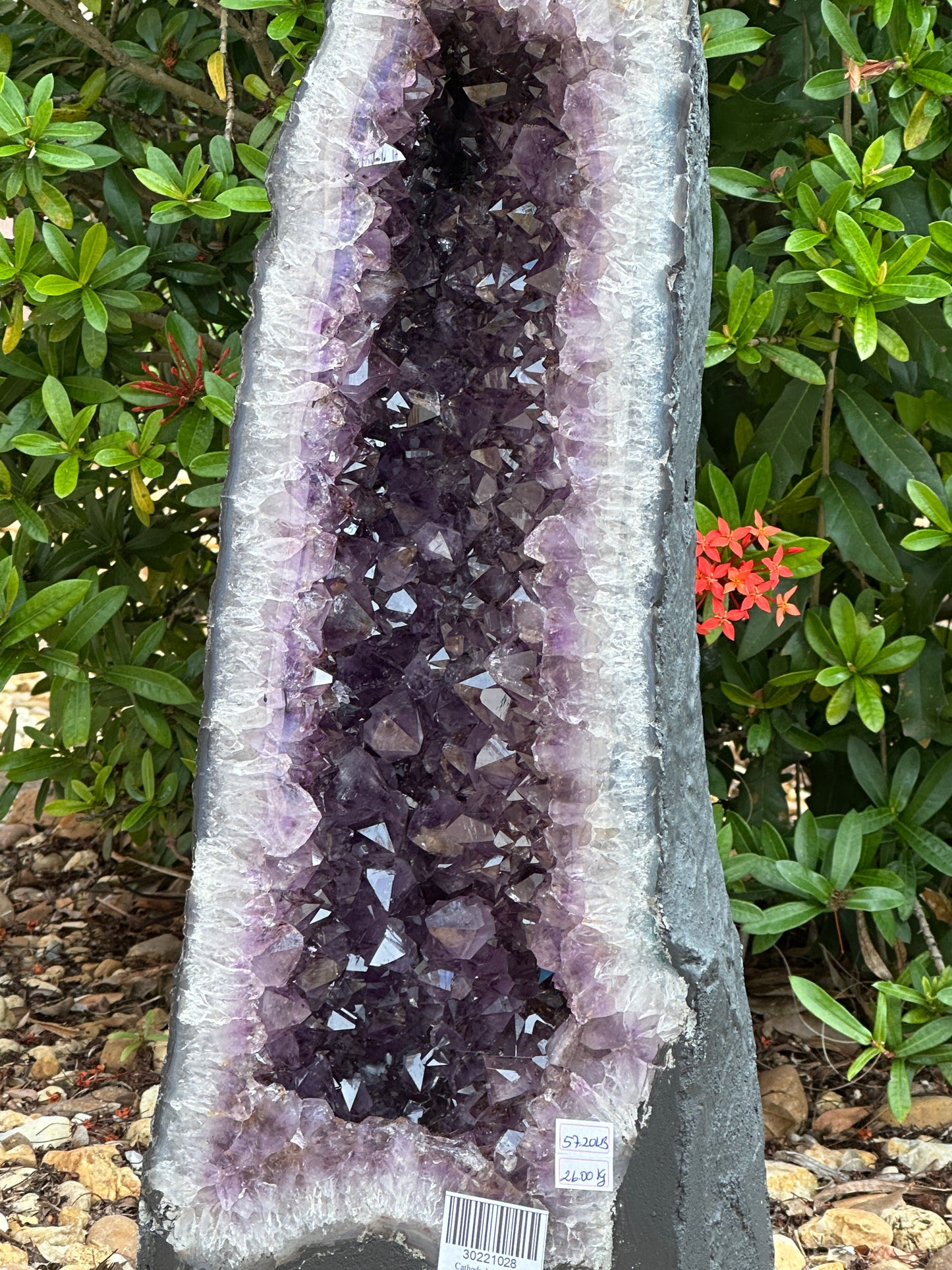 X-Large Deep Purple Amethyst Cathedral Geode – 57 lbs, 21" Tall Natural Amethyst Cluster | Raw Crystal Geode Display