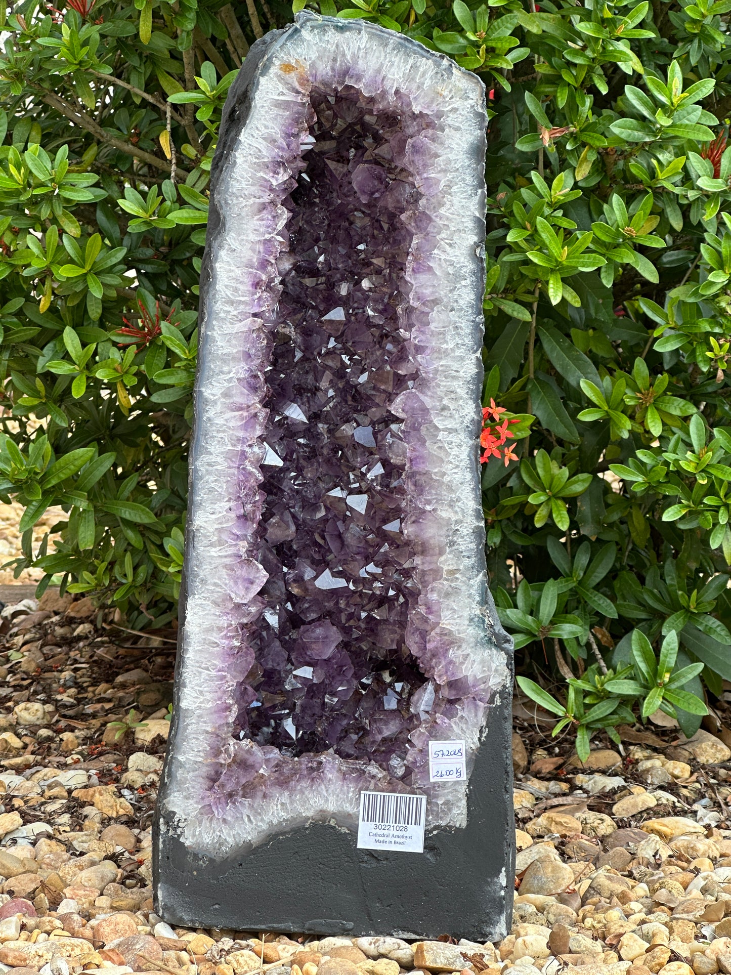 X-Large Deep Purple Amethyst Cathedral Geode – 57 lbs, 21" Tall Natural Amethyst Cluster | Raw Crystal Geode Display