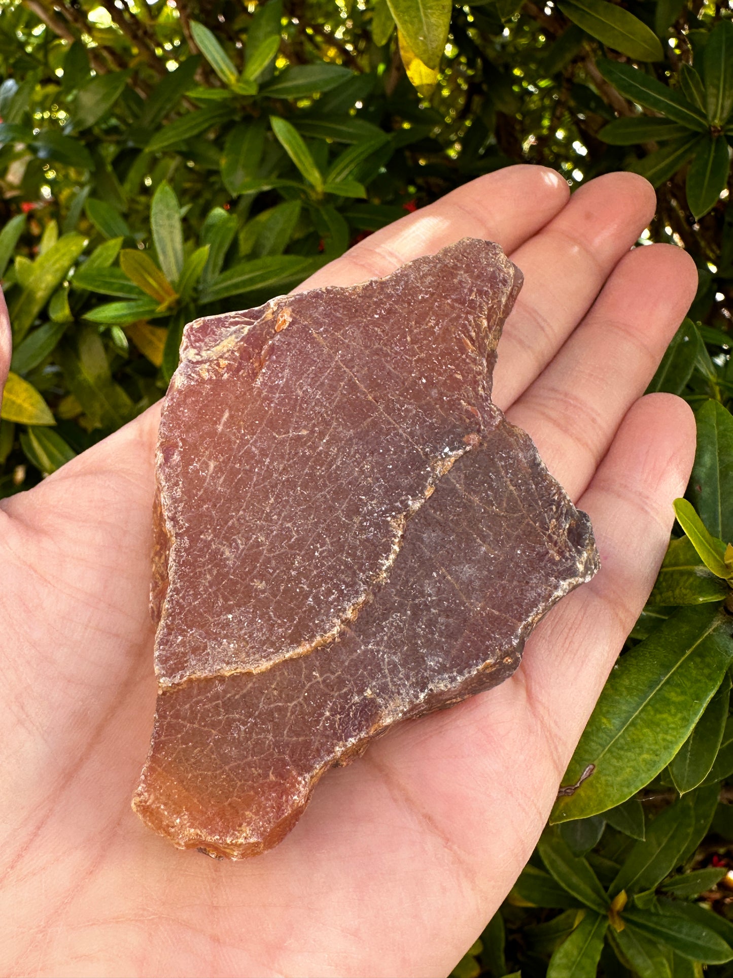 Large Carnelian Rough Natural Stones, 2-3" Raw Carnelian, Wholesales Bulk Lot