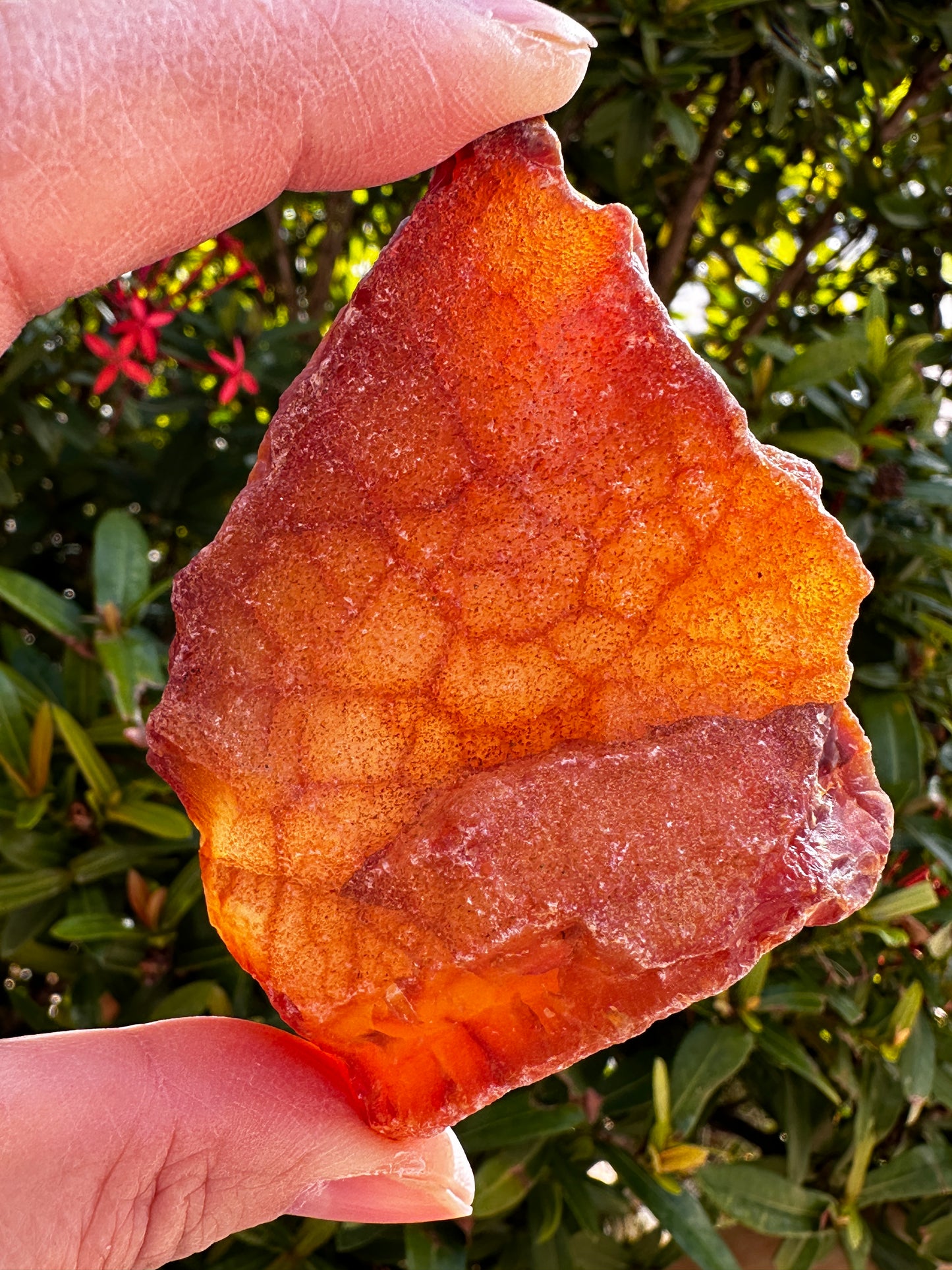 Large Carnelian Rough Natural Stones, 2-3" Raw Carnelian, Wholesales Bulk Lot