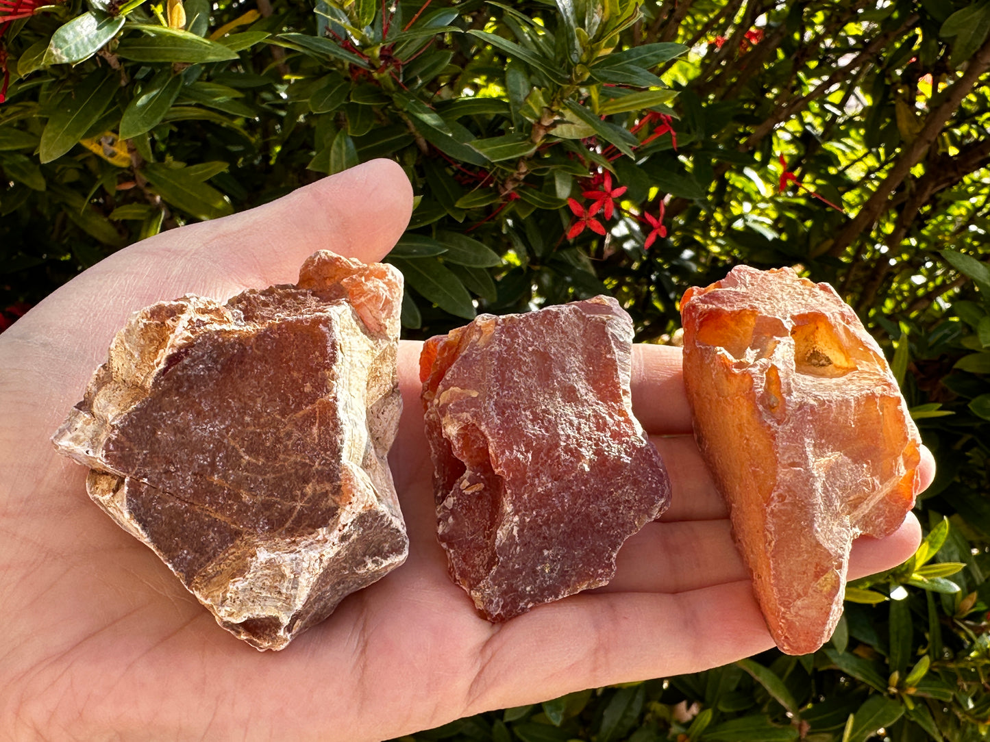 Large Carnelian Rough Natural Stones, 2-3" Raw Carnelian, Wholesales Bulk Lot