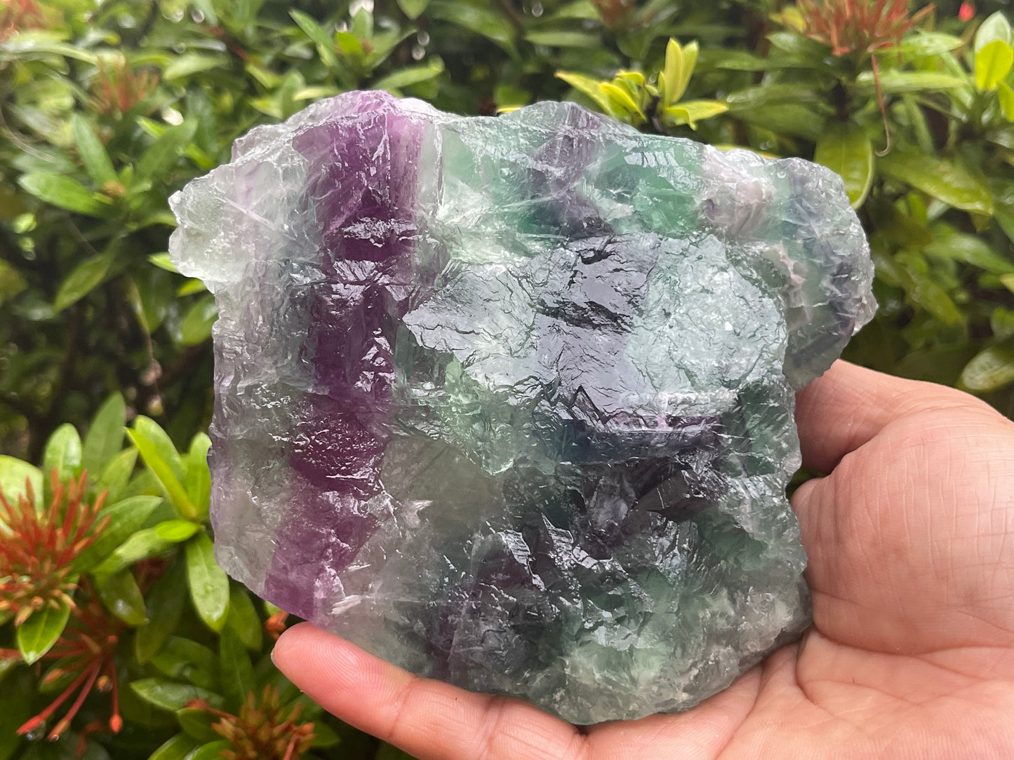 Grade A++ Jumbo Fluorite Raw Rainbow Stone, Massive Fluorite Rough,Pick a Weight