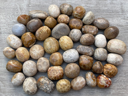 1/2 Lb Lot Tumbled Stones, 0.75-1.25" Crystal Healing Stones, Choose Stone Type