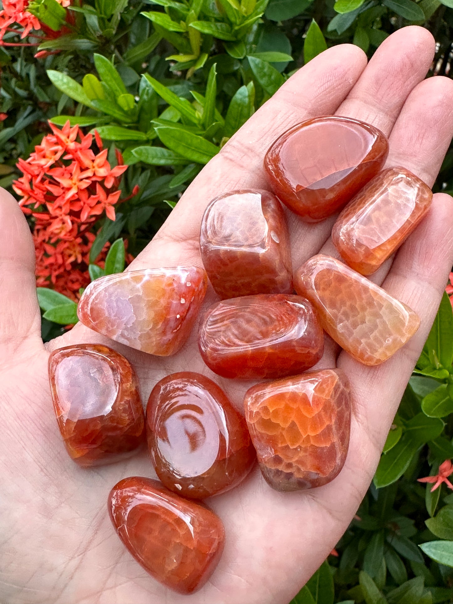 Grade A++ Fire Agate Tumbled Stones, 0.75"-1.25" Fire Agate Polished Stone, Wholesale Bulk Lot