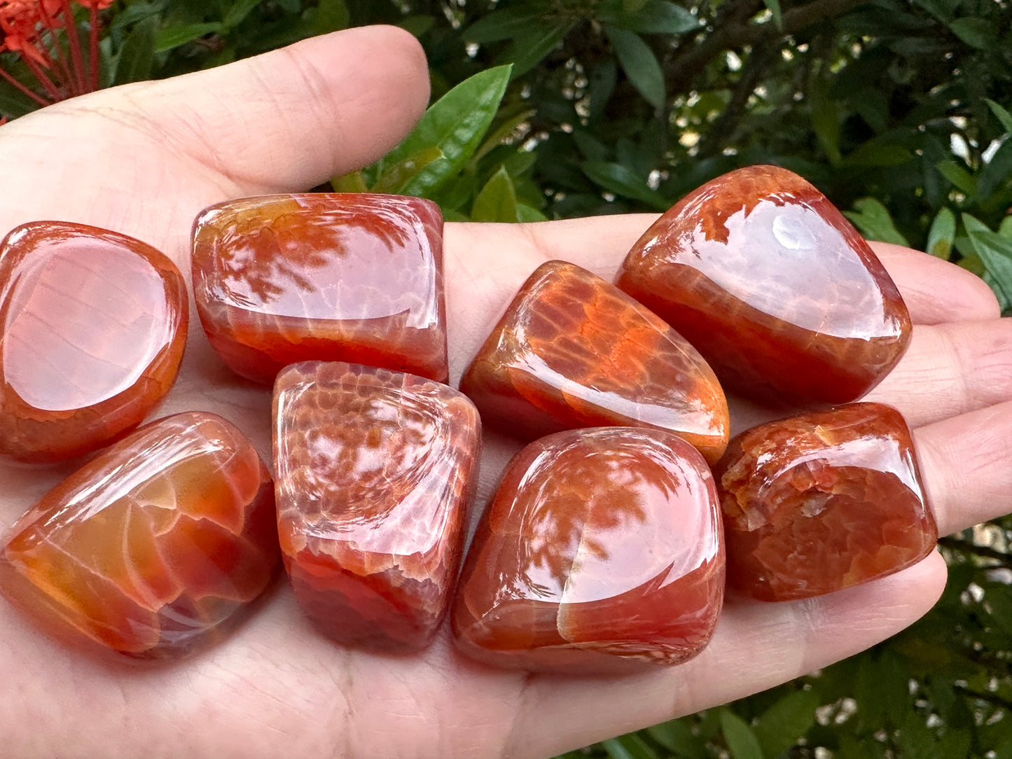 Grade A++ Fire Agate Tumbled Stones, 0.75"-1.25" Fire Agate Polished Stone, Wholesale Bulk Lot