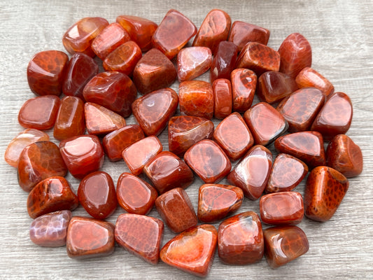 Grade A++ Fire Agate Tumbled Stones, 0.75"-1.25" Fire Agate Polished Stone, Wholesale Bulk Lot