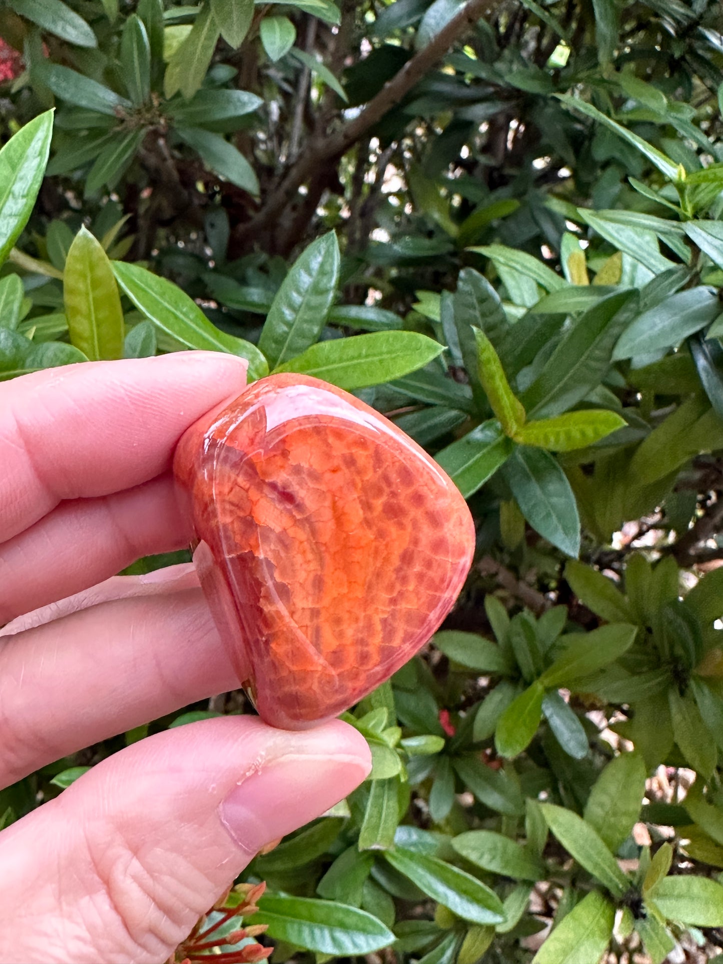 Grade A++ Fire Agate Tumbled Stones, 0.75"-1.25" Fire Agate Polished Stone, Wholesale Bulk Lot