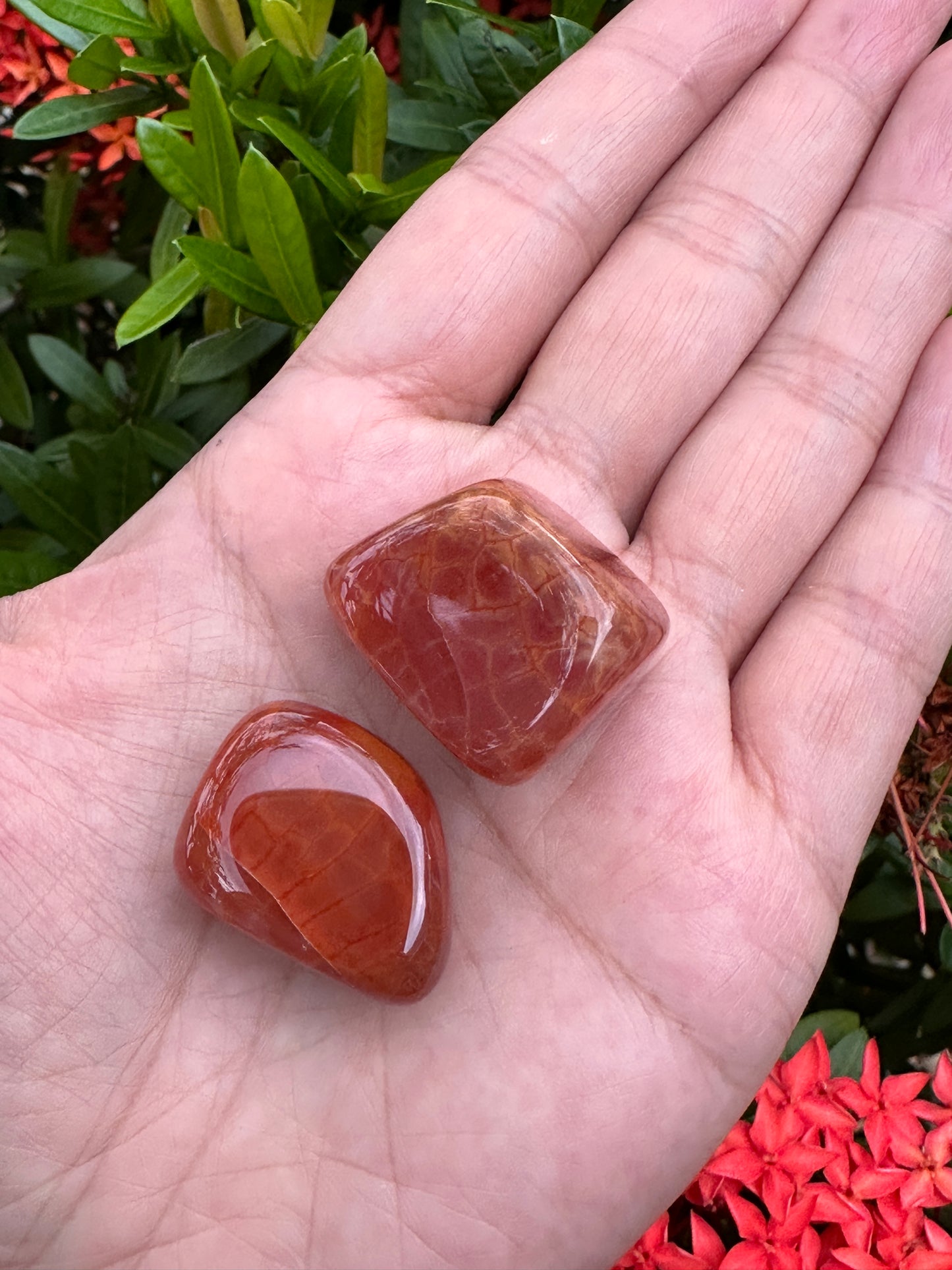 Grade A++ Fire Agate Tumbled Stones, 0.75"-1.25" Fire Agate Polished Stone, Wholesale Bulk Lot