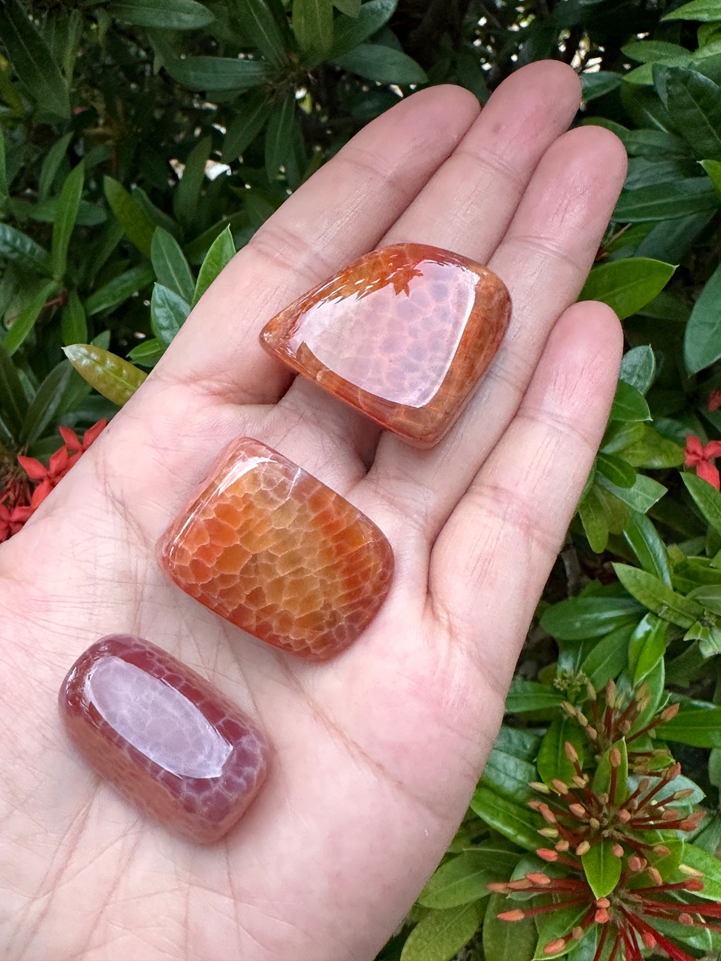 Grade A++ Fire Agate Tumbled Stones, 0.75"-1.25" Fire Agate Polished Stone, Wholesale Bulk Lot