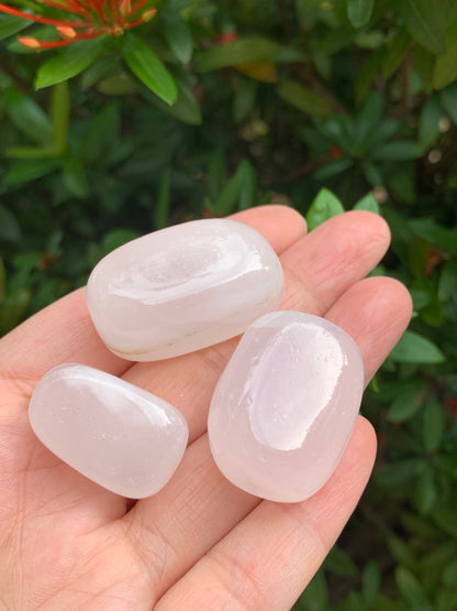 Grade A++ Pink Calcite Tumbled Stones, 0.75"-1.25" Pink Calcite Polished Stone, Wholesale Bulk Lot