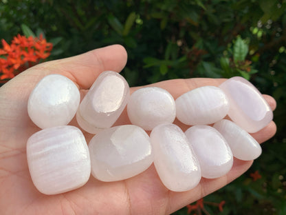 Grade A++ Pink Calcite Tumbled Stones, 0.75"-1.25" Pink Calcite Polished Stone, Wholesale Bulk Lot