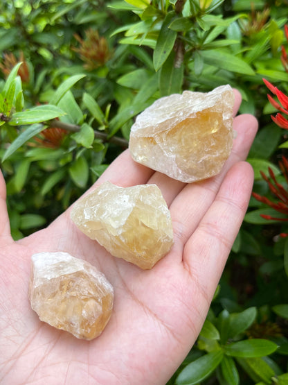 Citrine Raw Stone, 1.25" - 2" Rough Citrine Chunks, Raw Citrine Stones