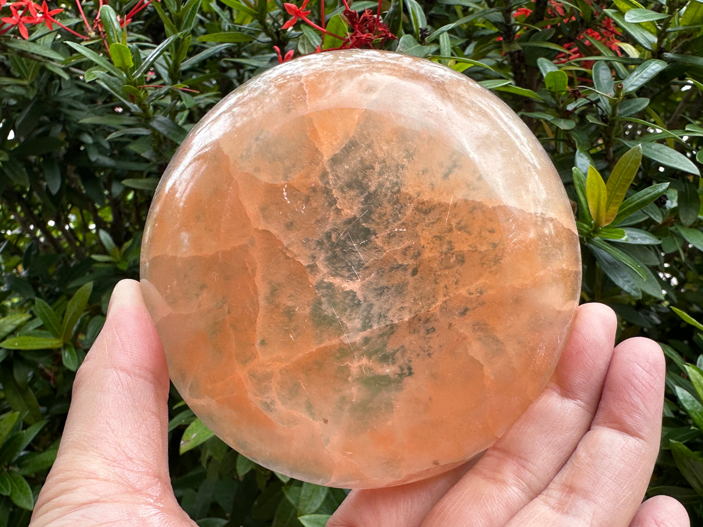 Orange Selenite Bowl, 4" Selenite Round Shaped Dish Bowl Orange Color, Peach Bowl