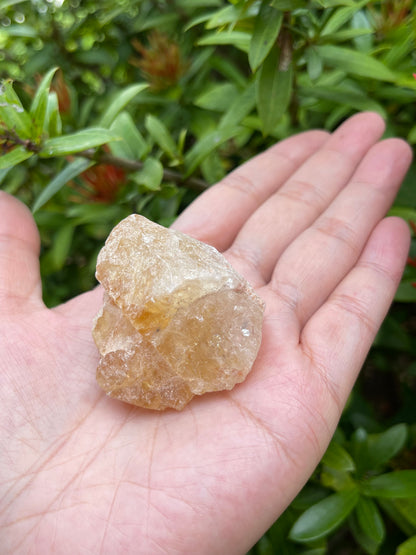 Citrine Raw Stone, 1.25" - 2" Rough Citrine Chunks, Raw Citrine Stones