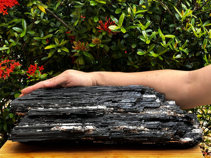 Extra Large Black Tourmaline Chunk / Rod / Log, Natural Rough Black Tourmaline