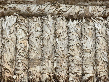 9" White Sage Smudge Stick – Extra Long California White Sage Smudge Bundles, Bulk Lot for Cleansing, Purifying, and Aromatherapy