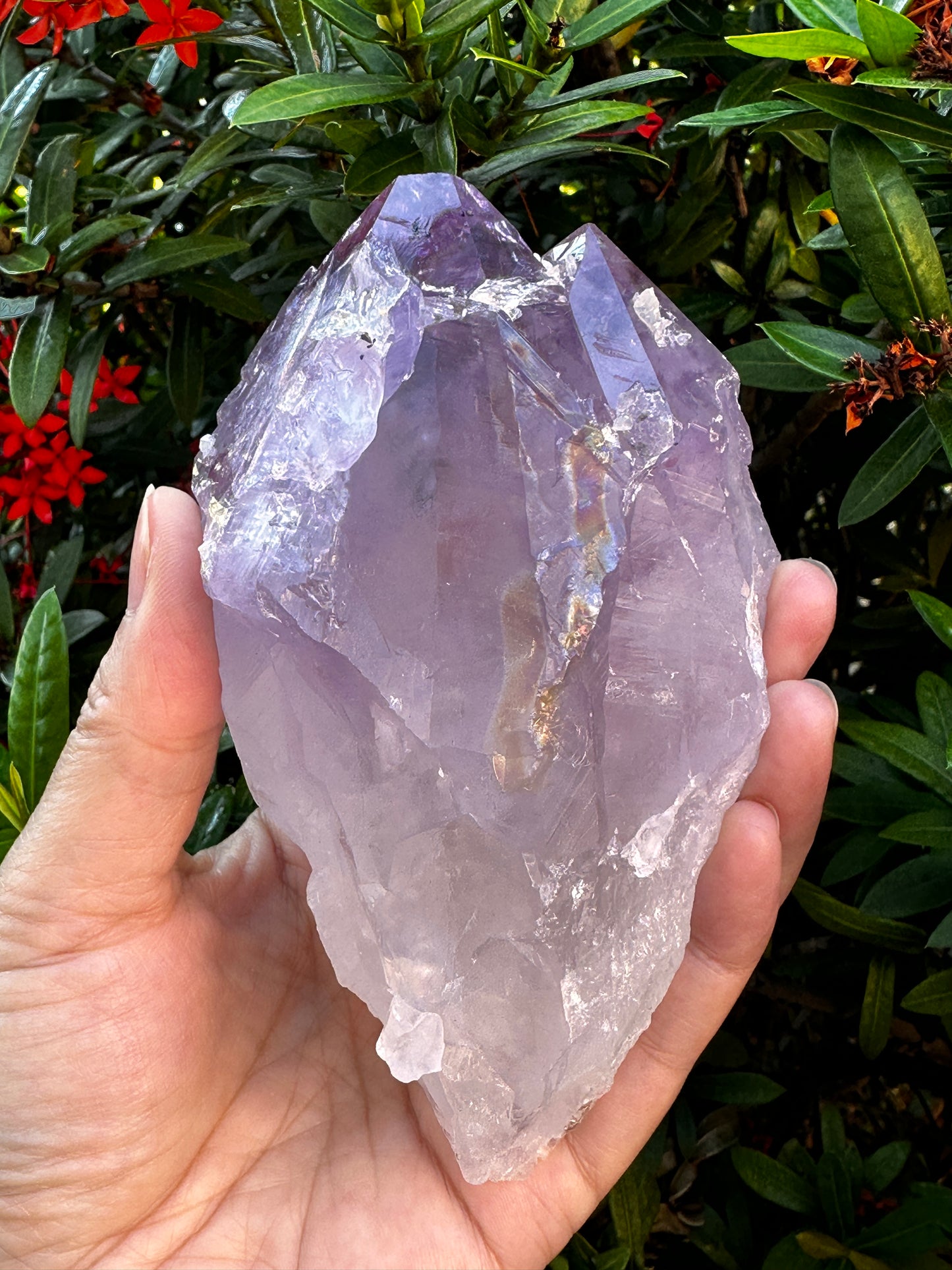 Jumbo Amethyst Point, 2.5 - 5" Large Raw Amethyst Natural Point, Pick a Weight