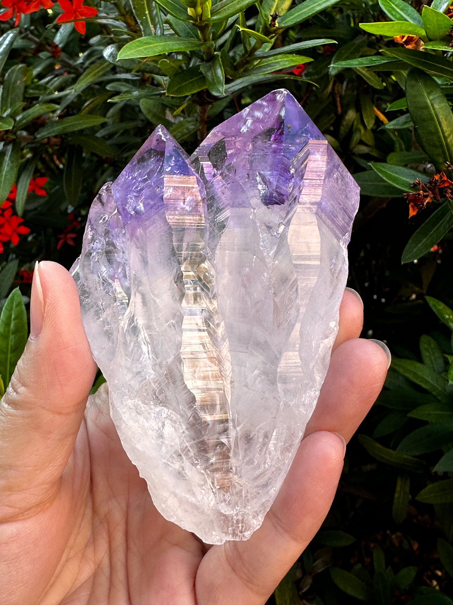 Jumbo Amethyst Point, 2.5 - 5" Large Raw Amethyst Natural Point, Pick a Weight